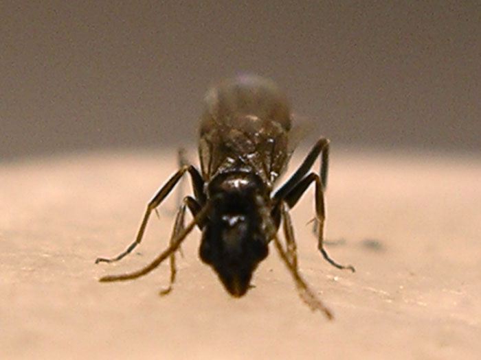 IMGP2565.jpg